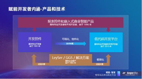 低代碼開發(fā)平臺刮起 葡萄城 旋風(fēng)