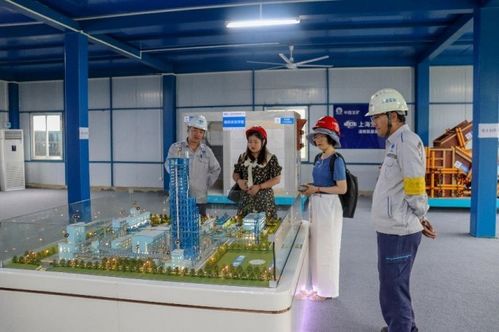 助力鋼企零碳示范工廠項目建設 走進上海寶冶承建的湛江鋼鐵百萬噸級氫基豎爐項目
