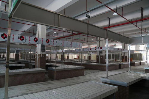 云浮街坊,大型農貿菜市場盛大開業 買菜又多了一個好去處 在你家附近嗎
