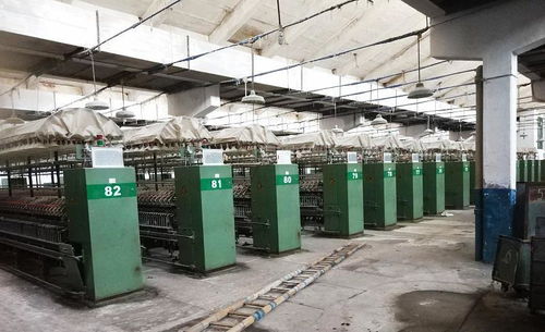 曾是重慶輝煌的企業,有職工7000多人,如今廠破舊雜草叢生
