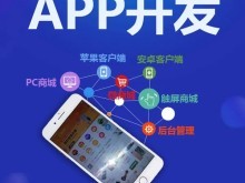 重慶應用軟件開發