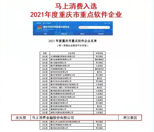 馬上消費入選2021年度重慶市重點軟件企業